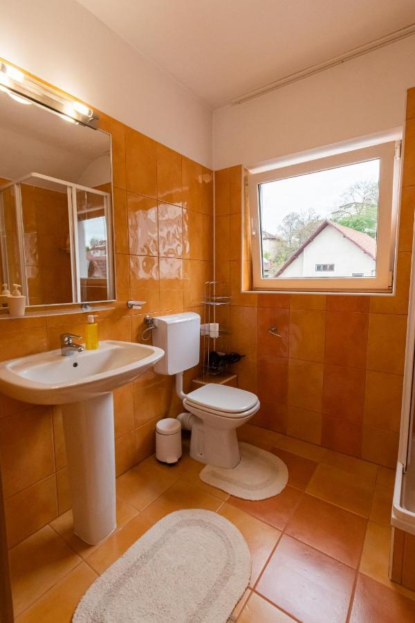 Residence 48 Beautiful Building Within Moments From The Old Town Of Braşov Extérieur photo